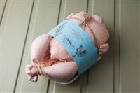 Тушка курицы